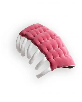 Kalbsrippchen_Veal_Ribs_Wall_Decoration_Kissen_Aufschnitt-Kuschelkissen